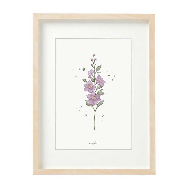 Lámina delphinium