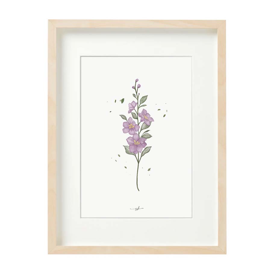 Lámina delphinium