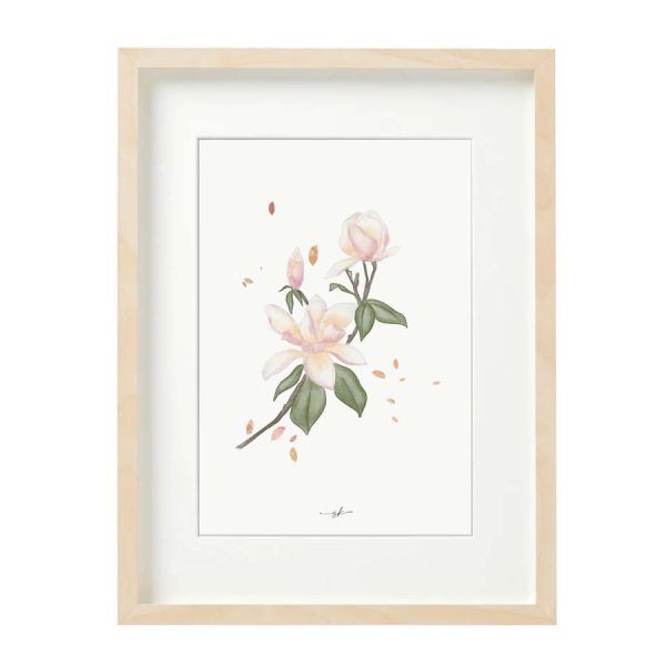 Lámina magnolia
