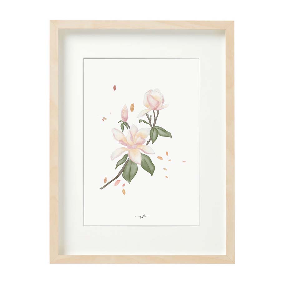 Lámina magnolia